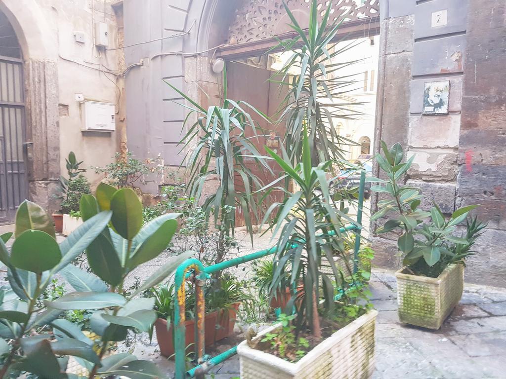 皇家但丁住宿加早餐旅馆 那不勒斯 外观 照片